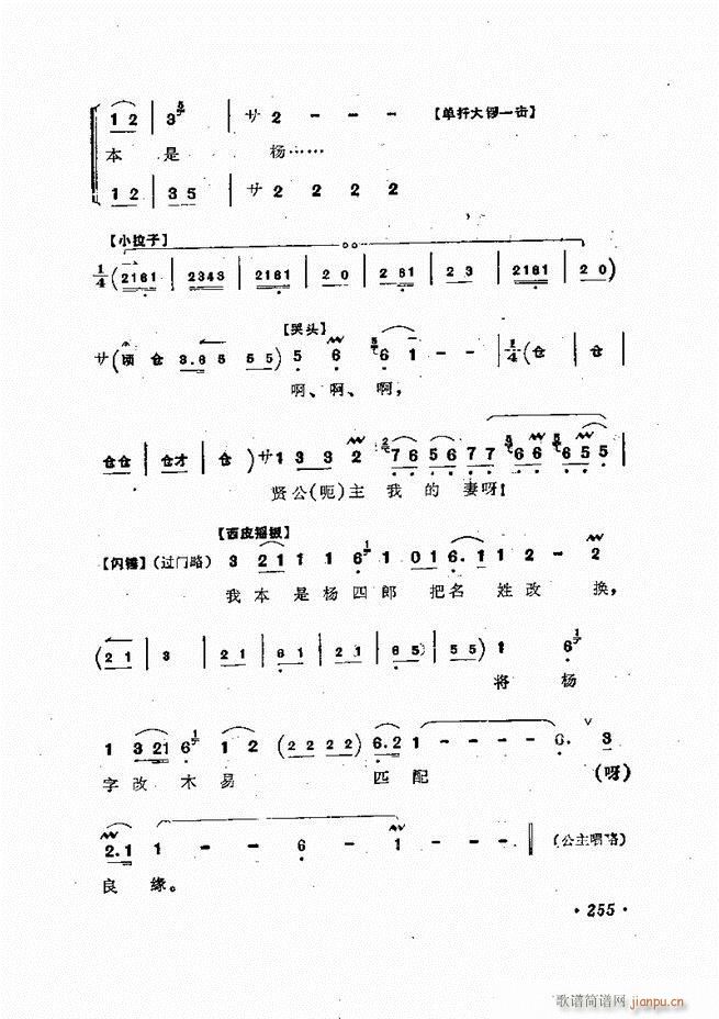 �ɭ��ǻ�� 241 300(�������V)15