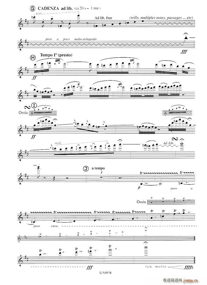 Fuzzy Bird Sonata(ʮ�ּ�����)3