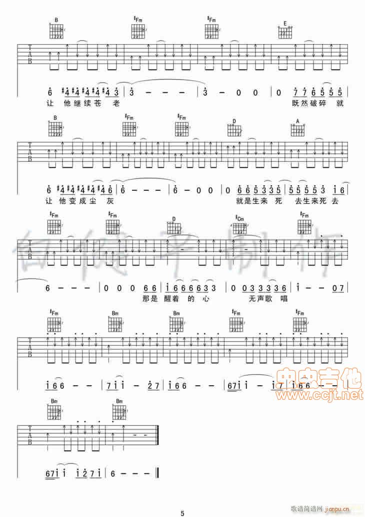 ����(���ָ��V)5