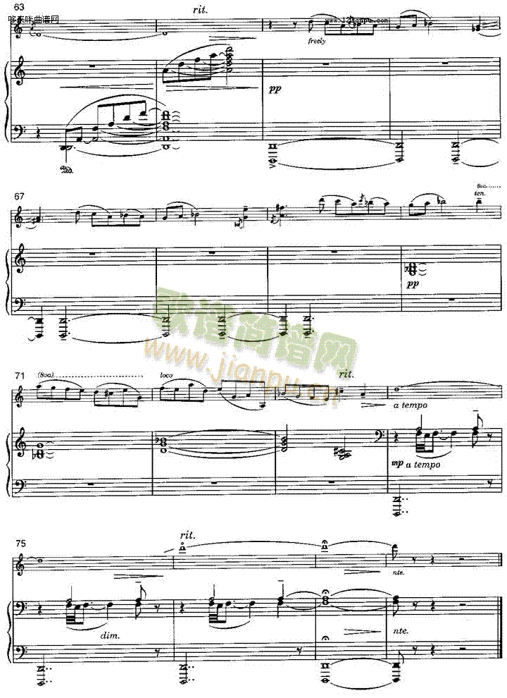 JewishTown����(������(l�� )�V)5