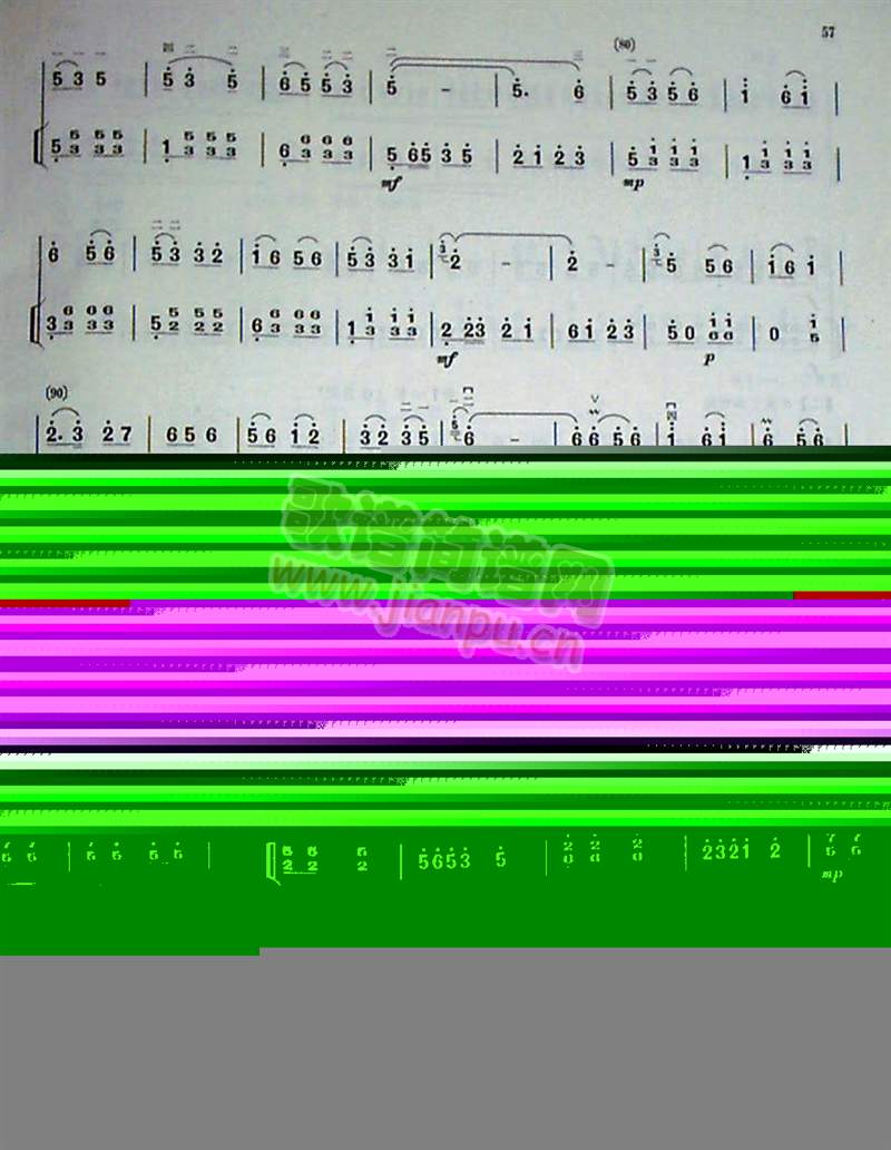 �g�c茹�6(����)3