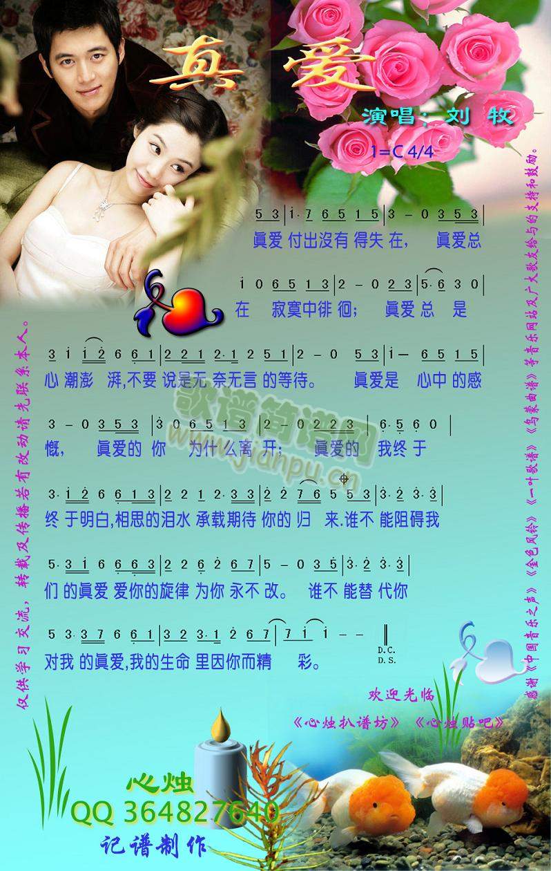 ���(��i)(���ָ��V)1