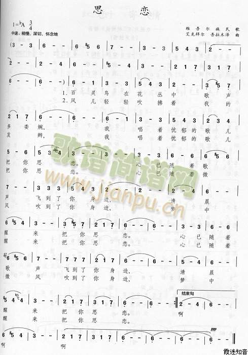 ˼��(���ָ��V)1