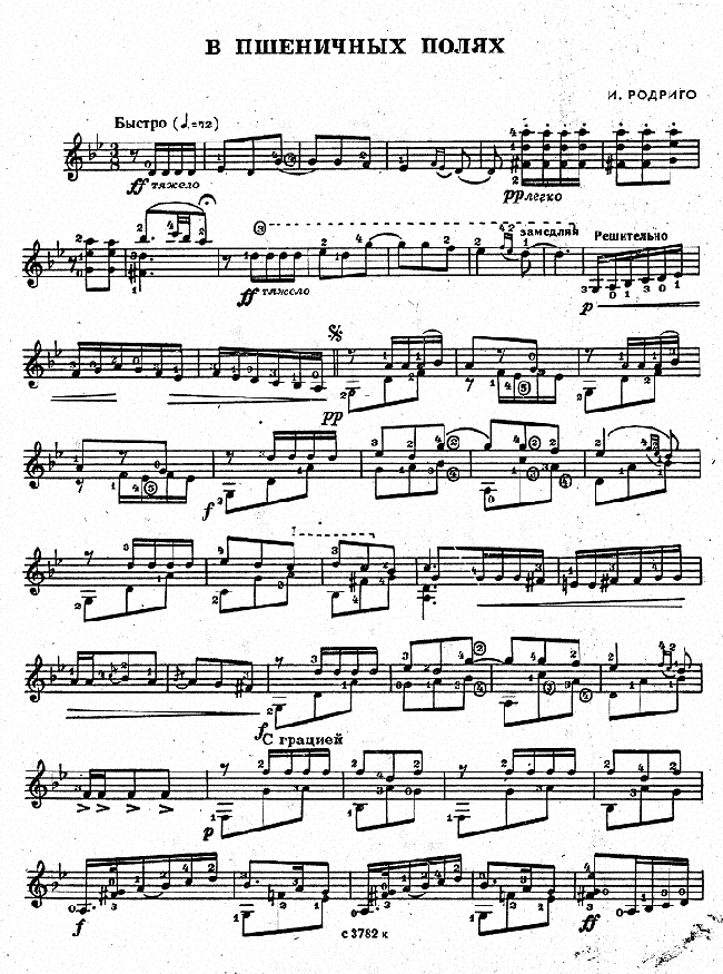 ����(���ָ��V)1