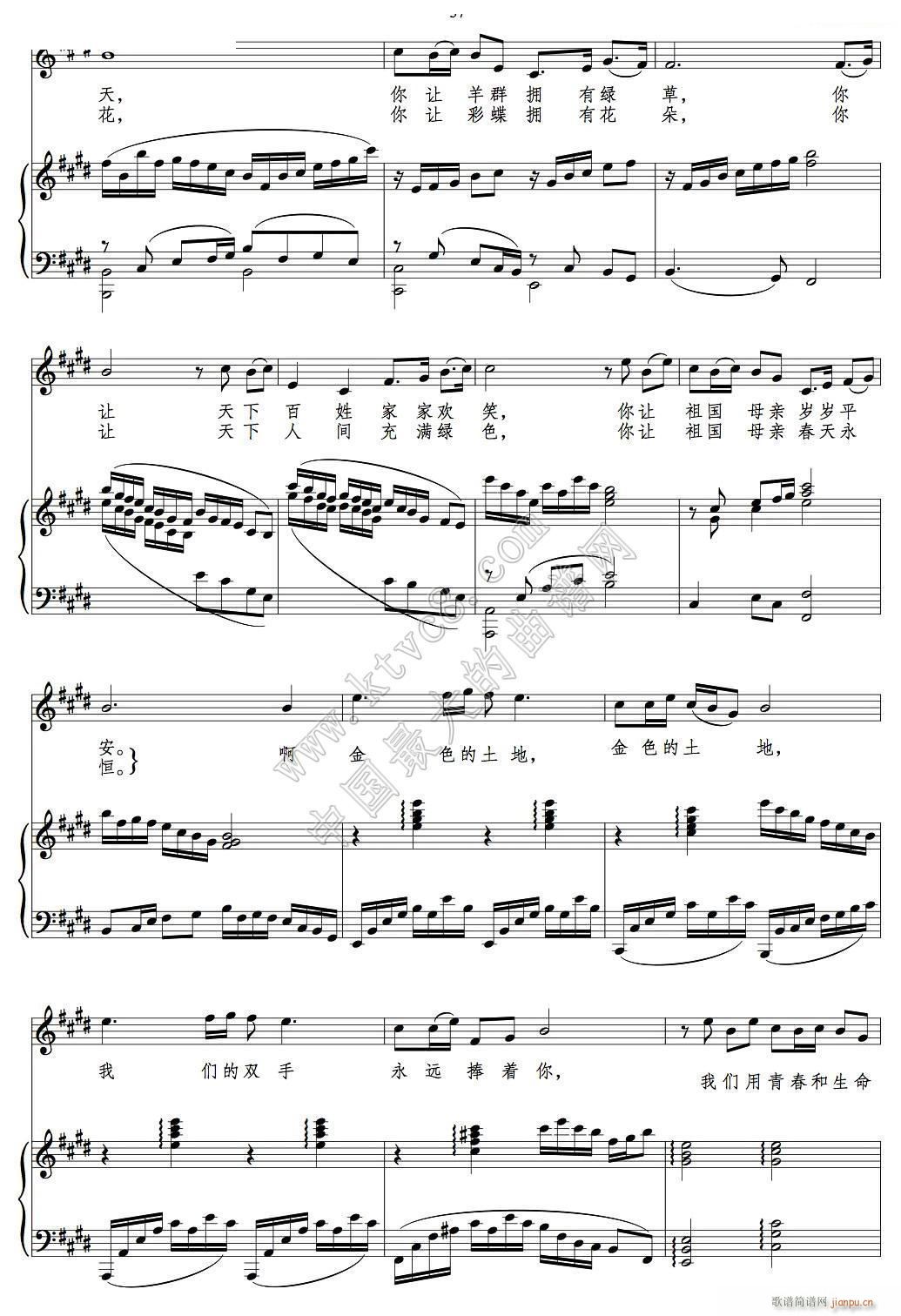 ��ɫ������ ������(���ָ��V)3