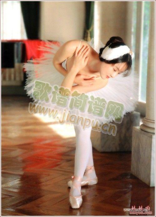 ��ɲ����Ԑ�(��i)��(��i)��(���ָ��V)1