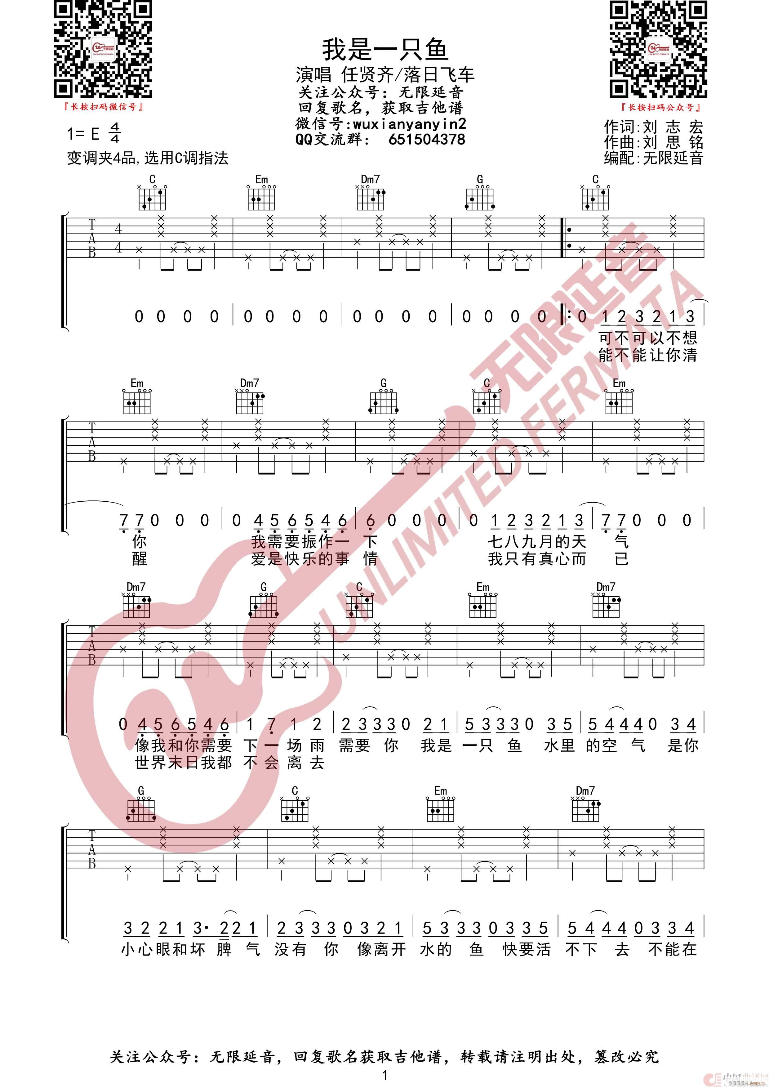 ����һֻ�~(y��) �o(w��)����������(�����V)1