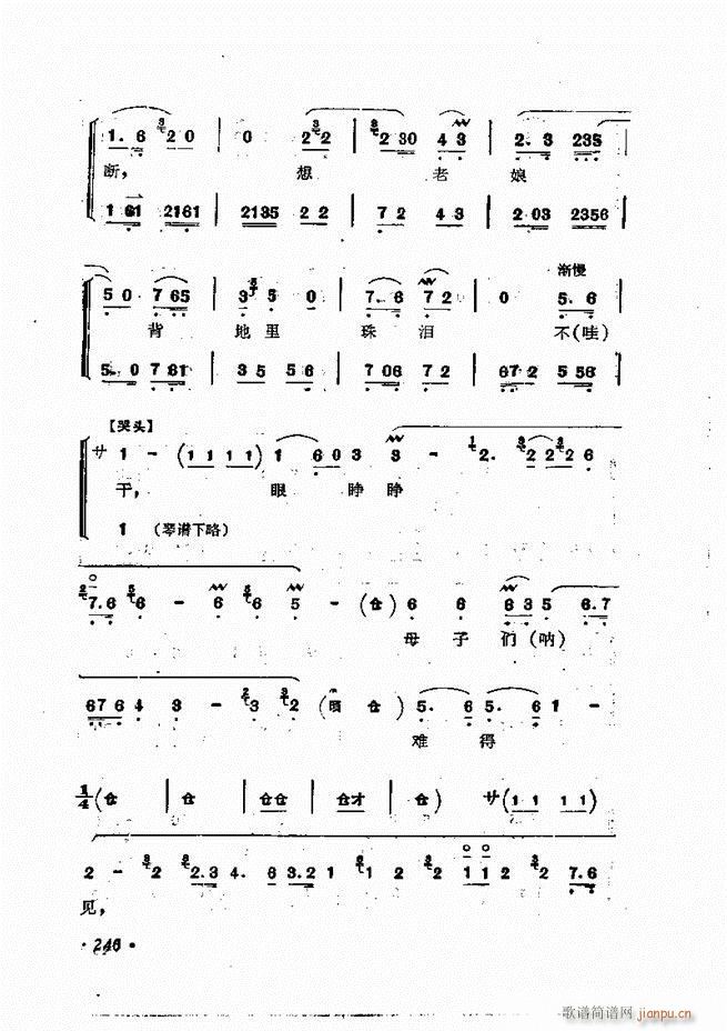 �ɭ��ǻ�� 241 300(�������V)6