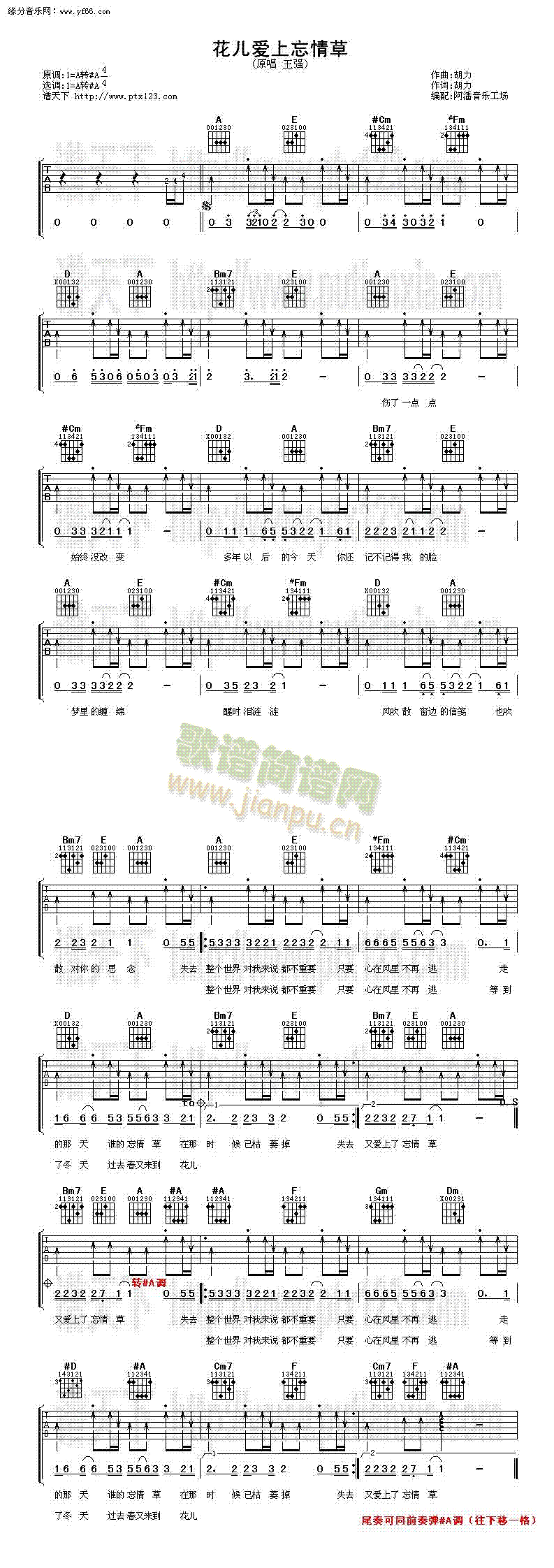 ������(��i)�������(�����V)1