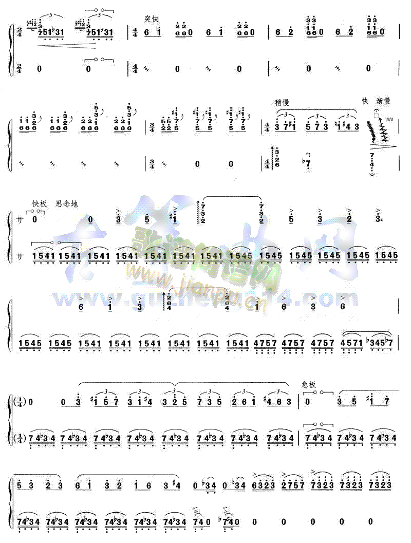 ɽ��(�Ź~�P���V)5