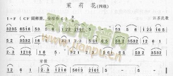 ����(���ָ��V)1