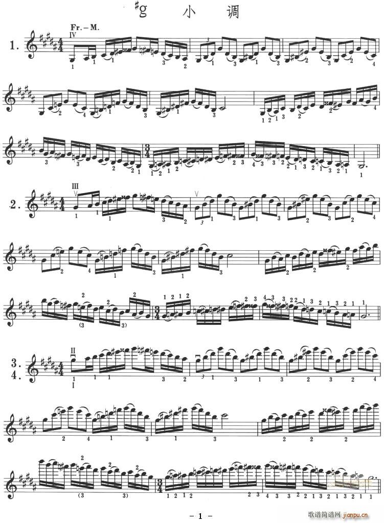 #g(���ָ��V)1