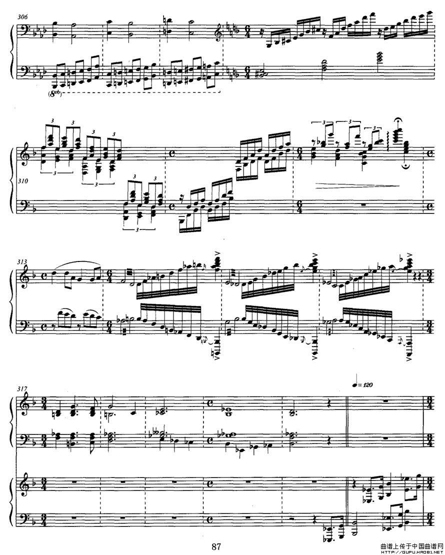 �ɻ�����P20(���ָ��V)1