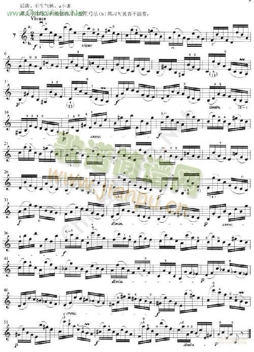 �D��(С�����V)8