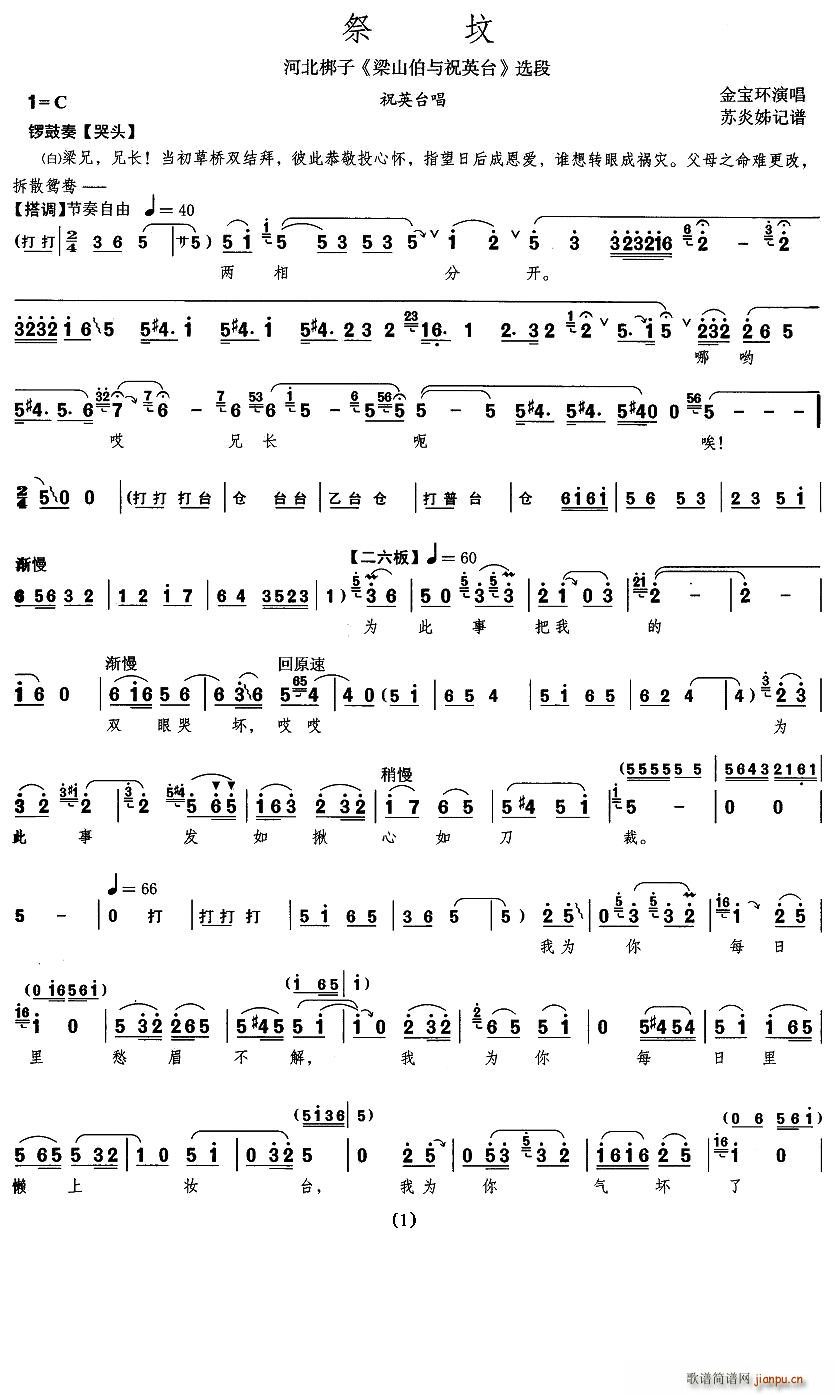 ����(���ָ��V)1