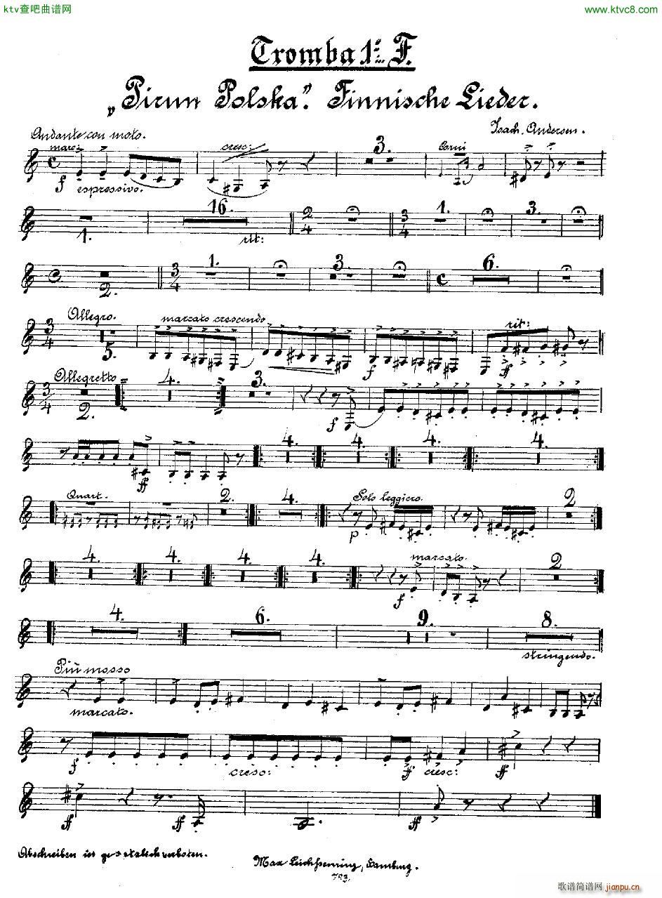 Andersen op 49 Pirun Polska orch(����V)24