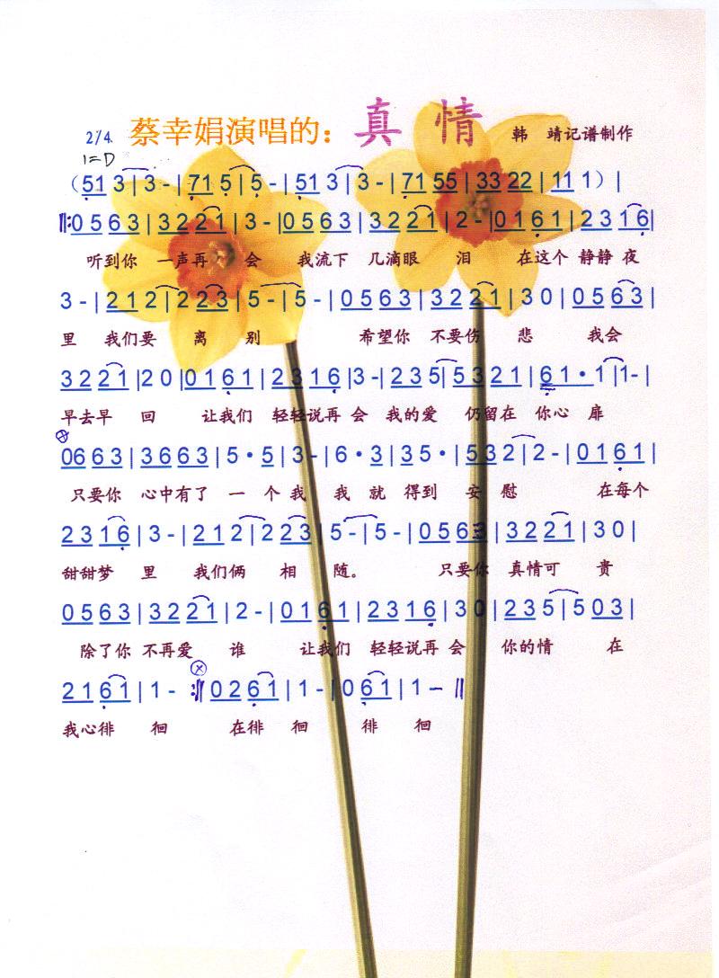 ����-���Ҿ꡾���V��(ʮ�ּ�����)1