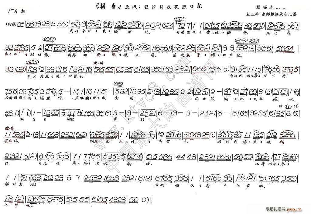 ������ҹҹ�x��(sh��)æ ÷��(ʮ�ּ�����)1