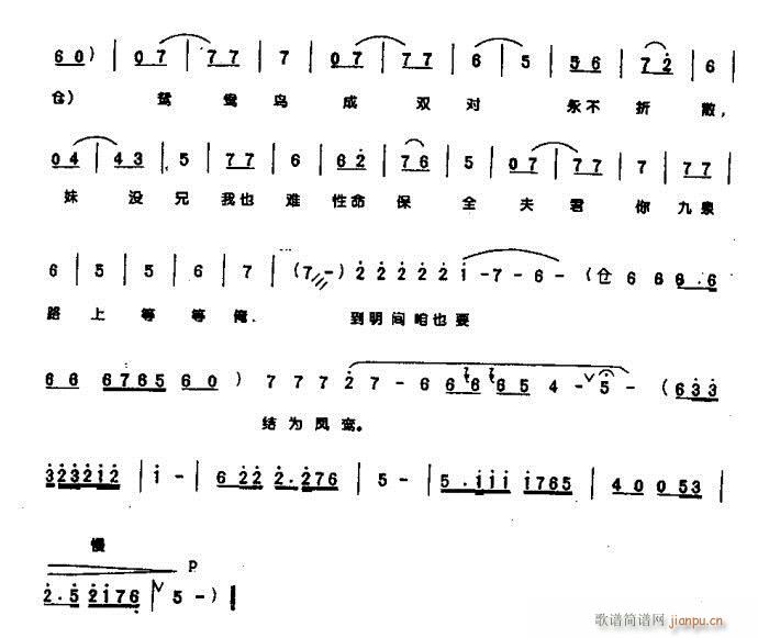 ����g��ҲҪ�Y���P�[6-10ԥ��(ԥ�����V)5