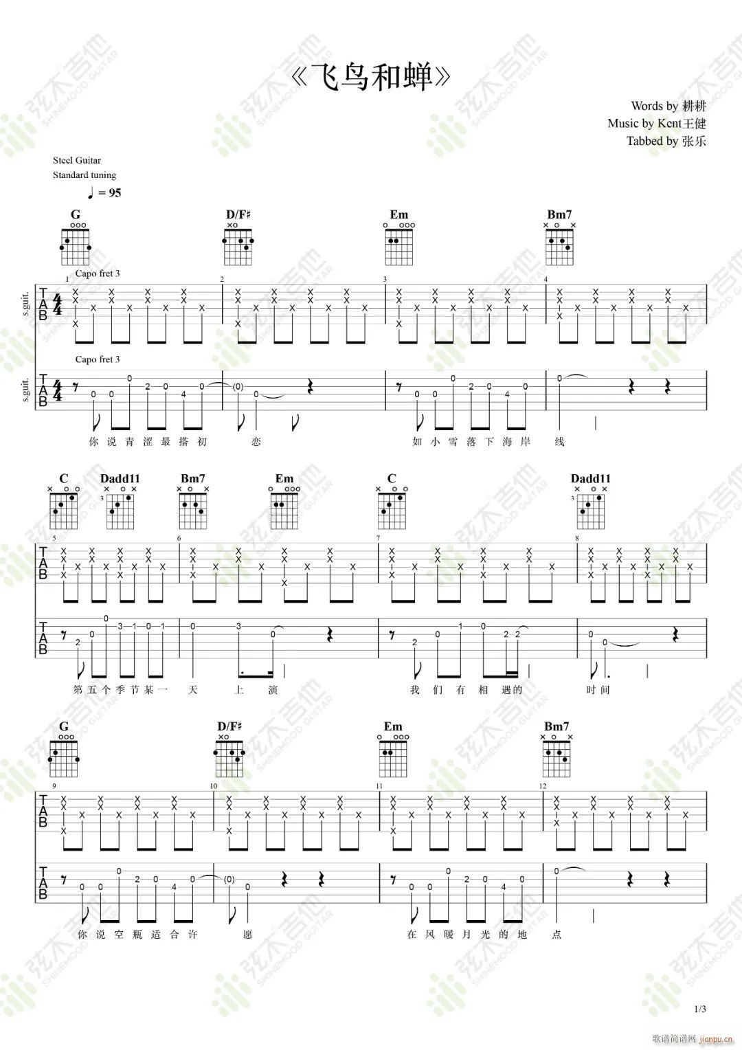 �w�B(ni��o)���sָ�� �p��������(�����V)1