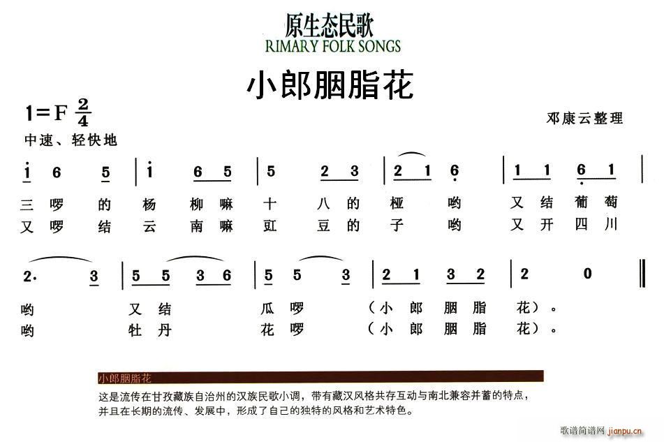 С����֬��(���ָ��V)1