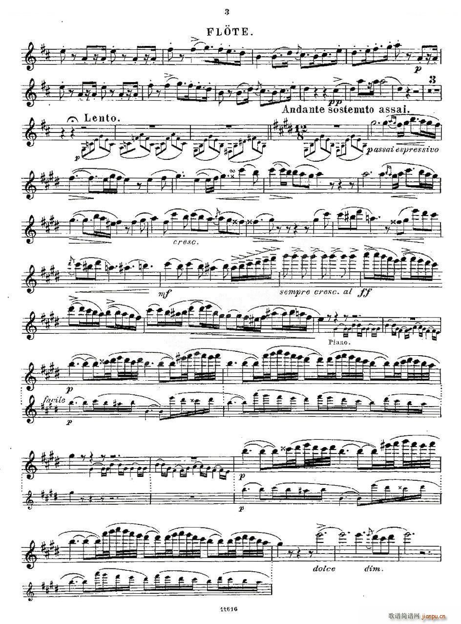 Opern Transcriptionen Op 45 2 ��ʒ�V(�Ѻ��V)3