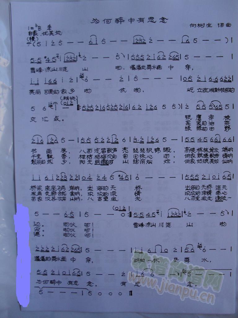 ���������˼��(���ָ��V)1