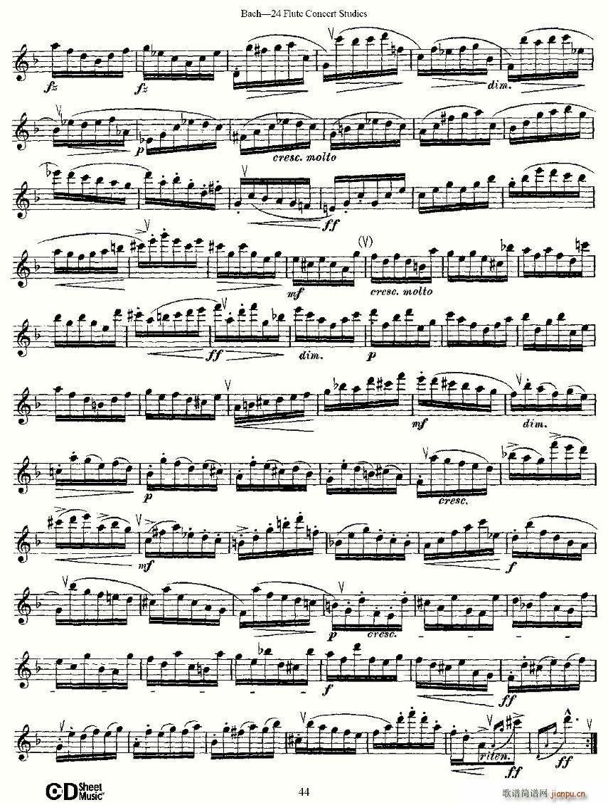 Bach-24(�Ѻ��V)8