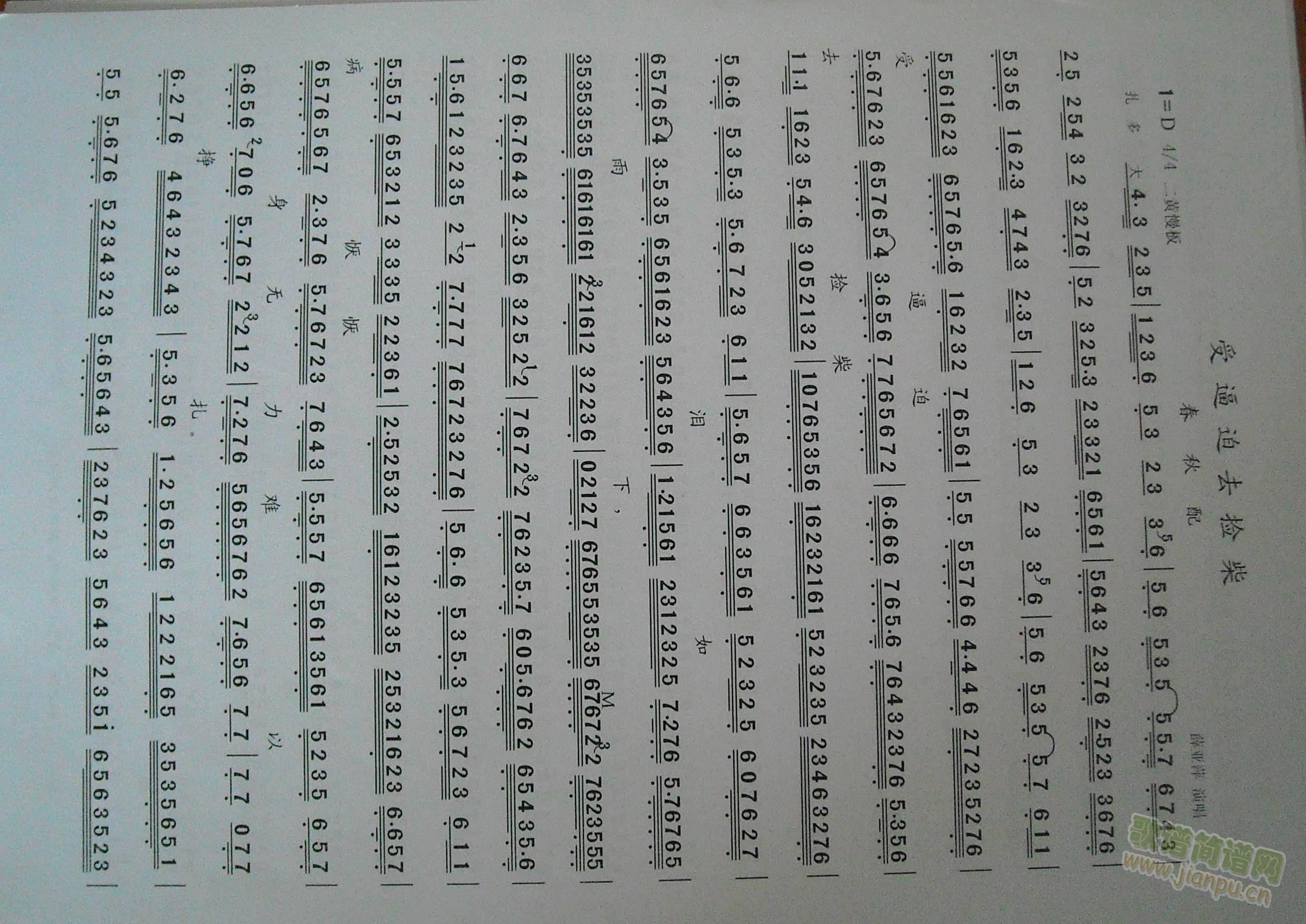 ������-���(���ָ��V)1