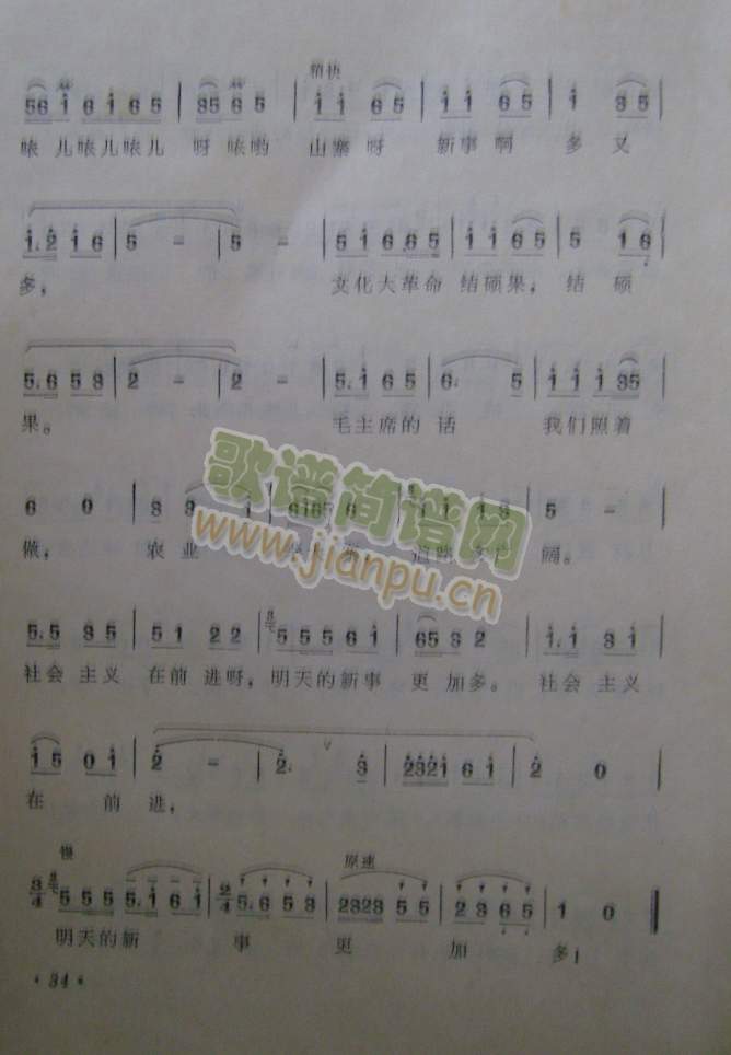 ���¶�(���ָ��V)5