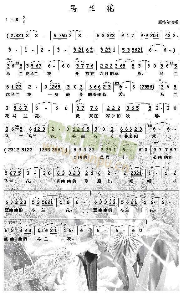 �R�m��(���ָ��V)1