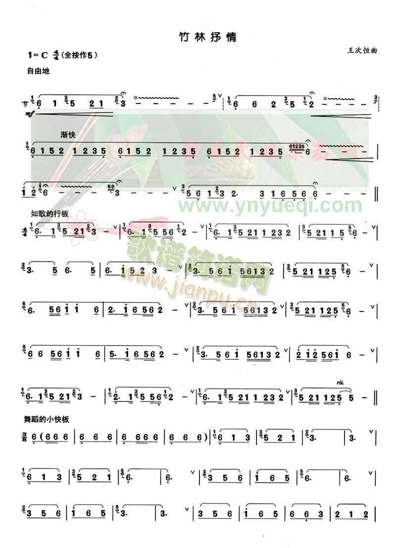 ��������(���J�z�V)1