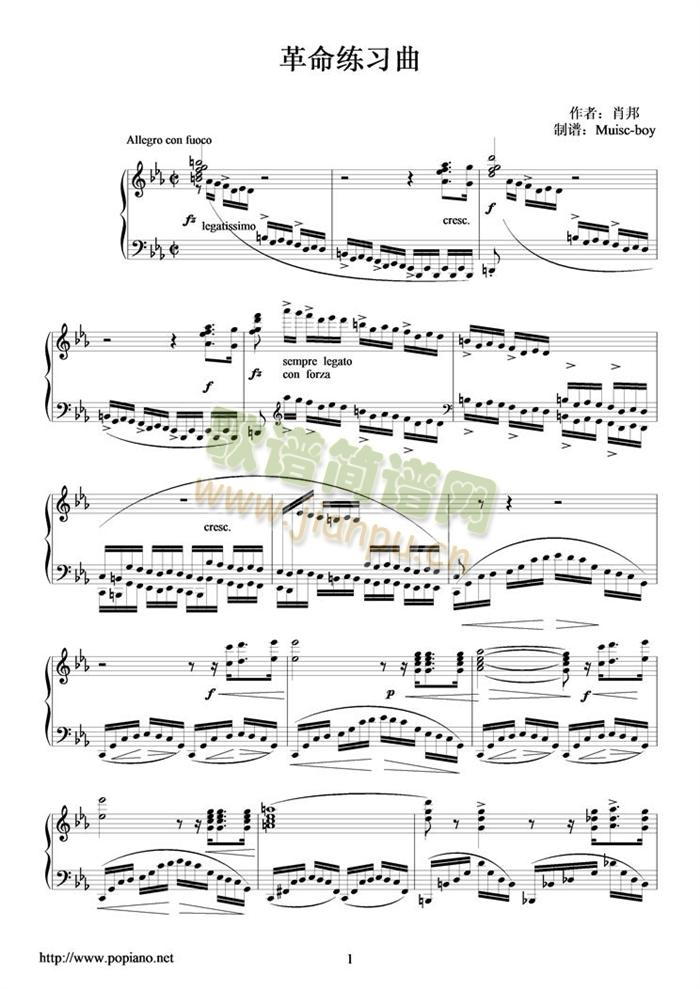 ����������(����V)1