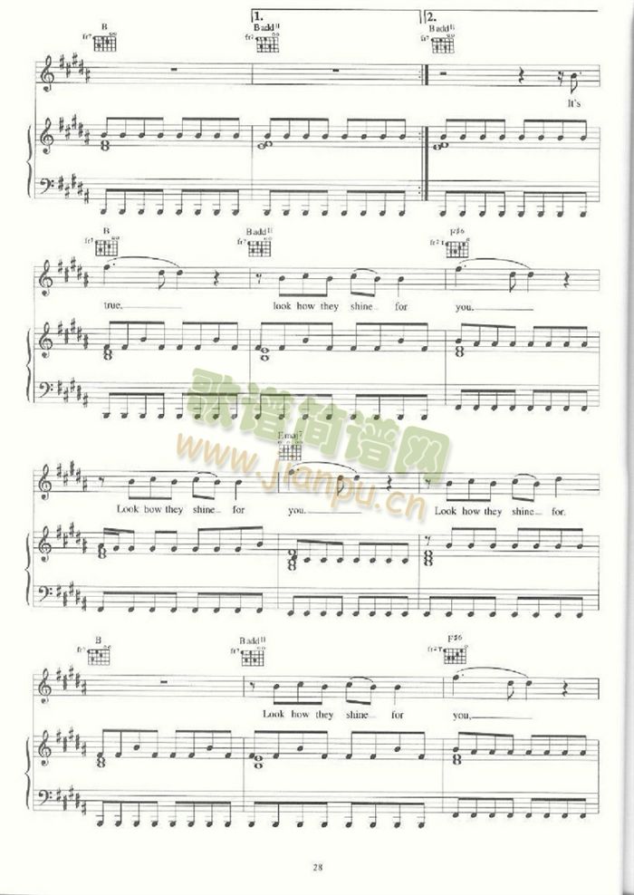 YELLOW(�����V)5