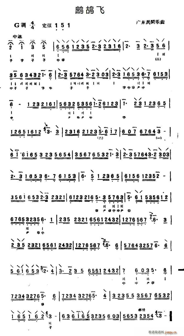 �p���w ����(���ָ��V)1