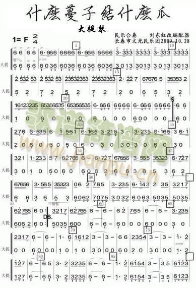 ʲô���ӽYʲô�ϴ�����V(���V)1