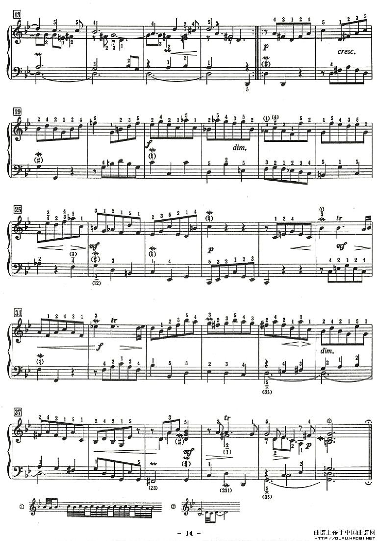 ʮ����Сǰ����P14(����V)1