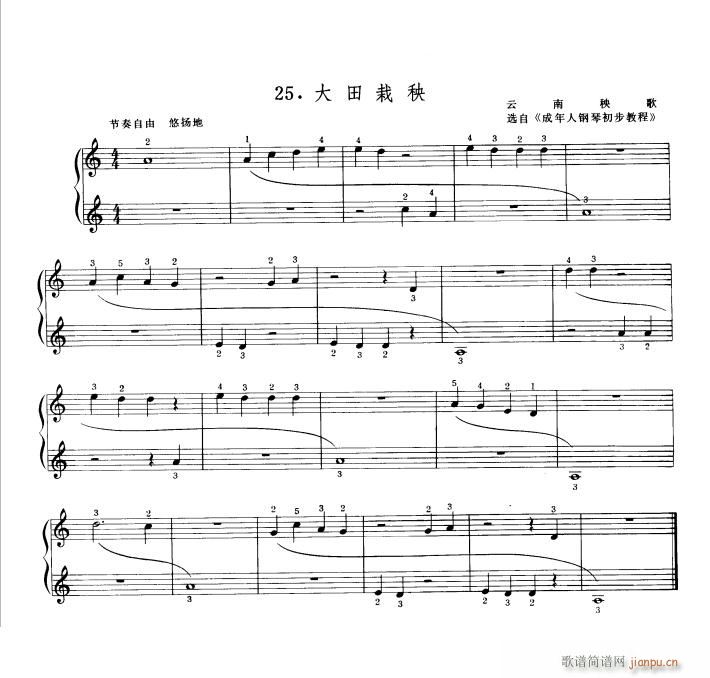 ��������(����V)1