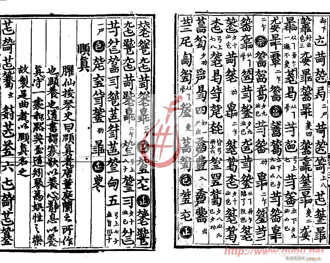 С����(���ָ��V)5