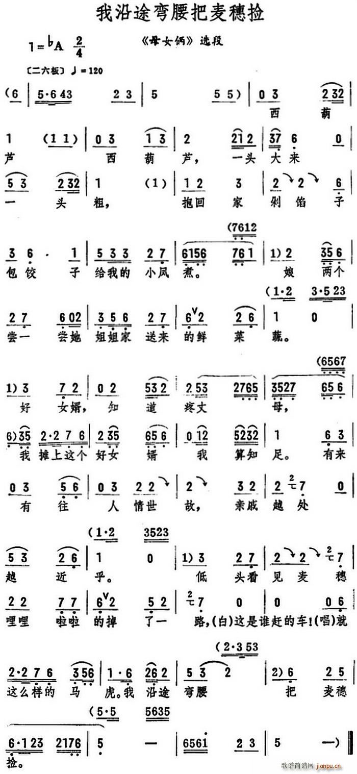 ����;����������� ĸŮ�z �x��(ʮ�ּ�����)1