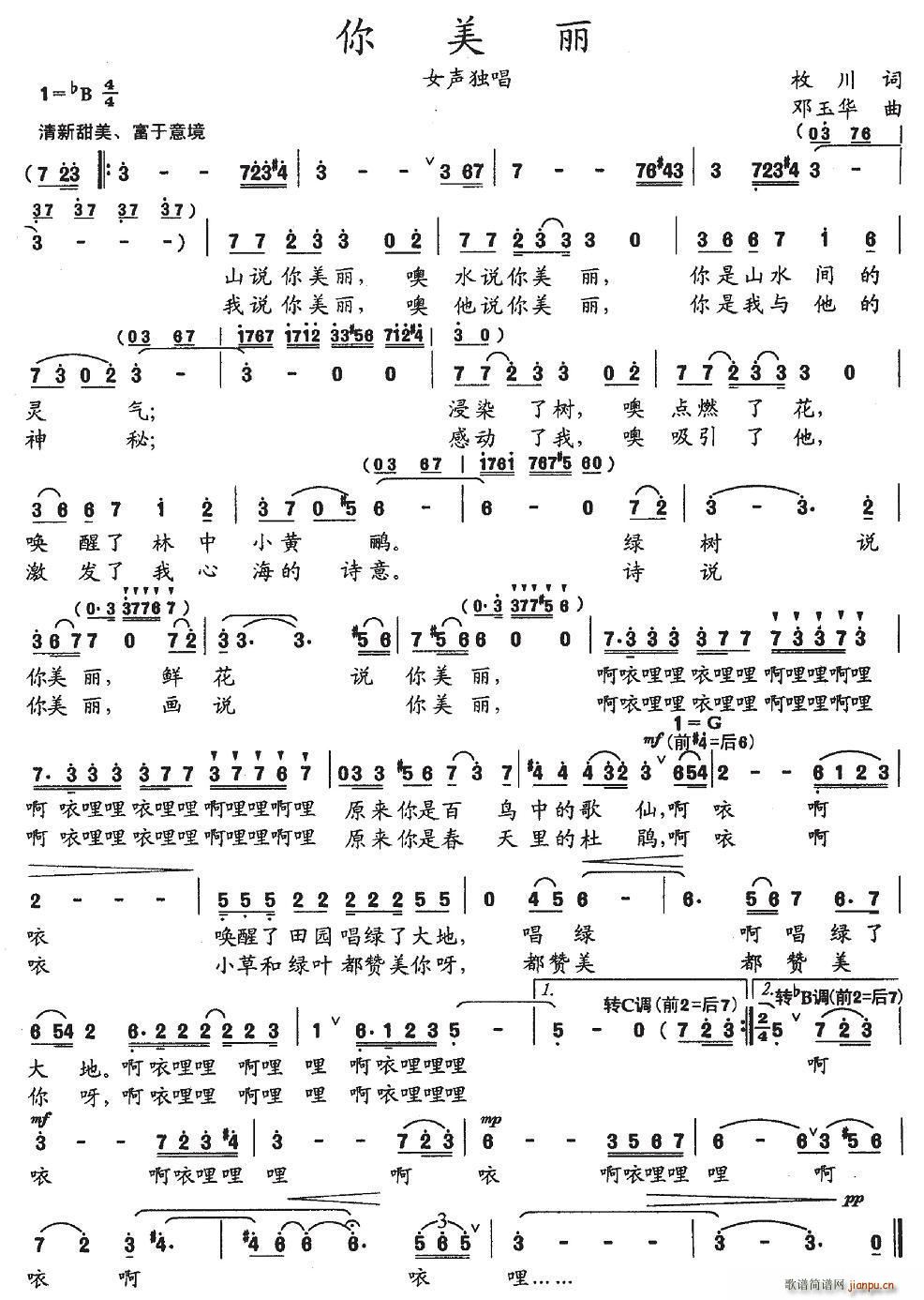 ������(���ָ��V)1