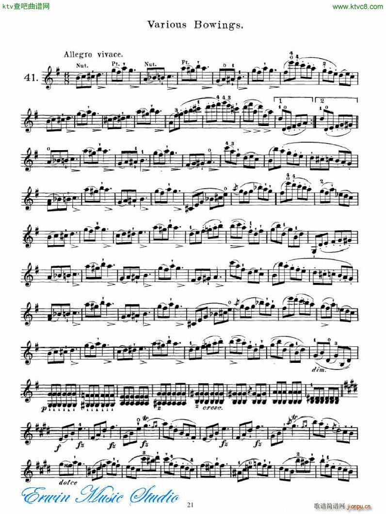 �R��˹ 75�םu�M(j��n)ʽ���ɾ��� �D��(sh��)2 27��Brilliante ����2(ʮ�ּ�����)5