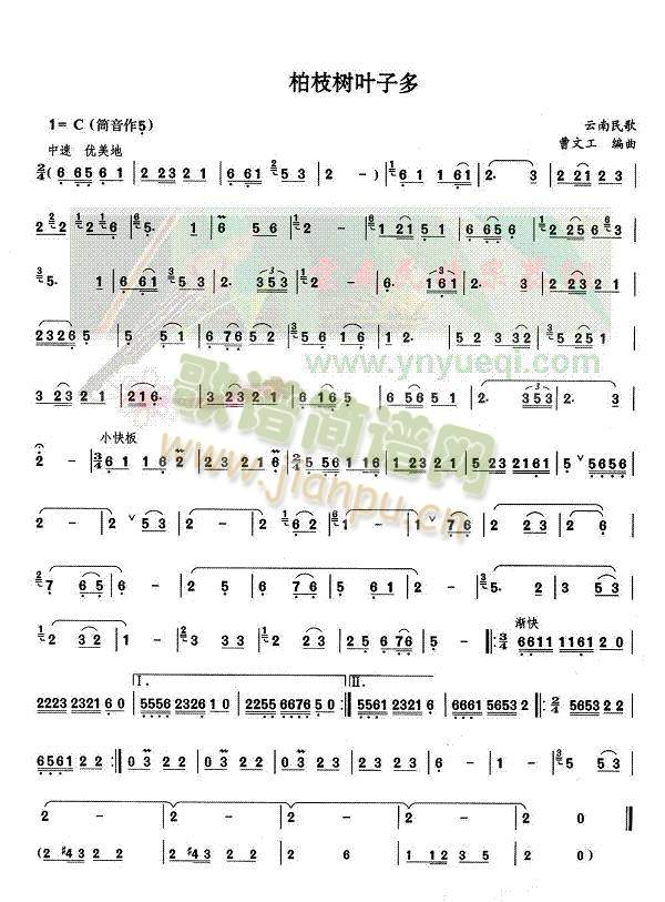 ��֦��(sh��)�~�Ӷ�(���J�z�V)1