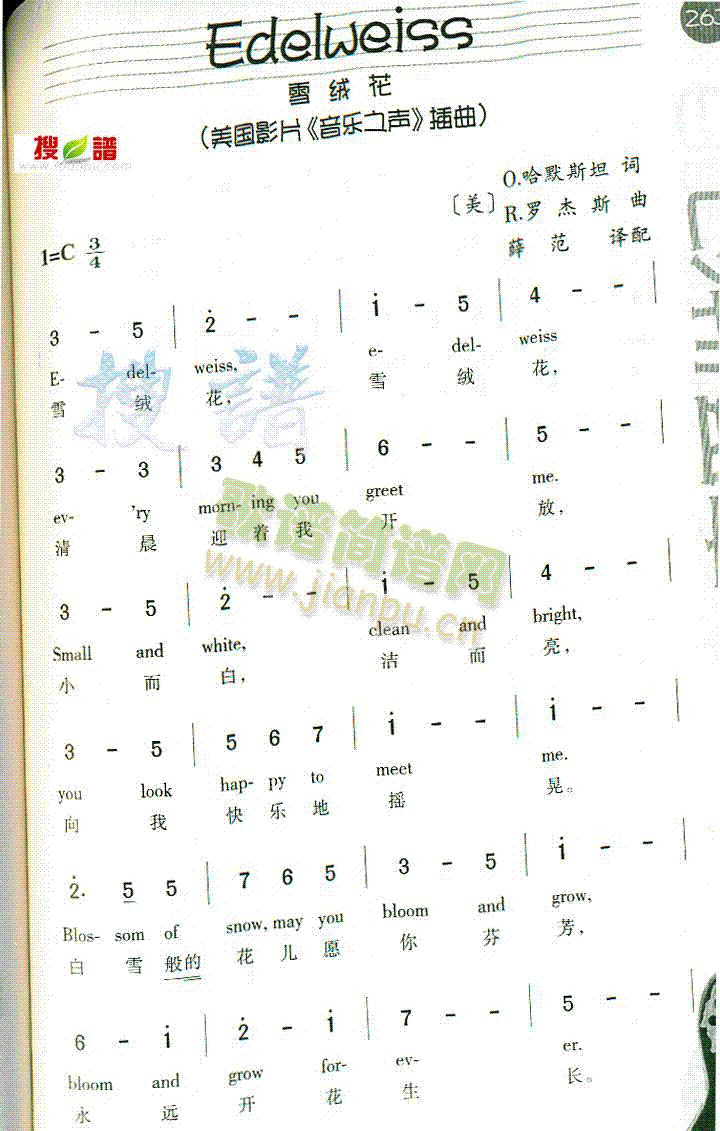 Edelweiss(���ָ��V)1