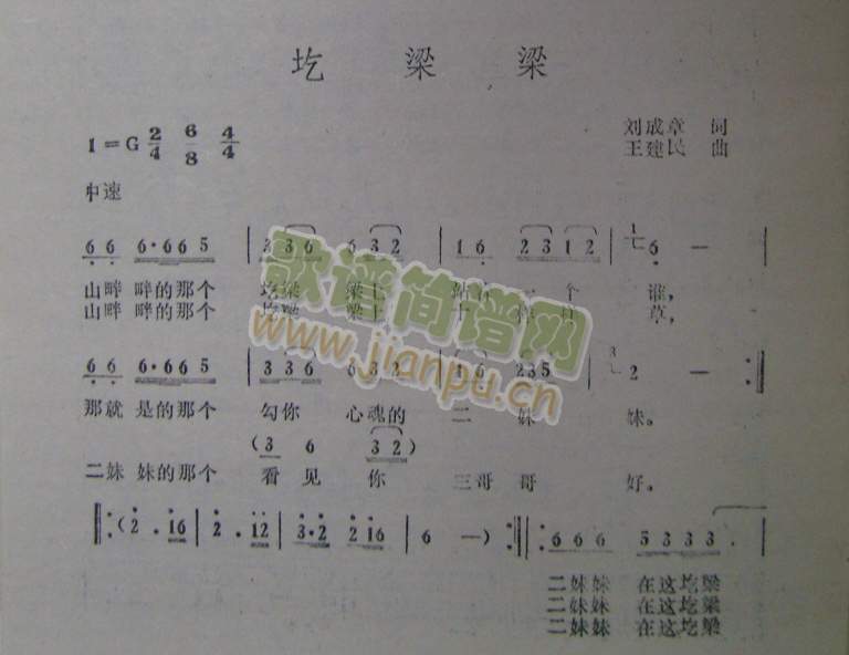 ������(���ָ��V)1