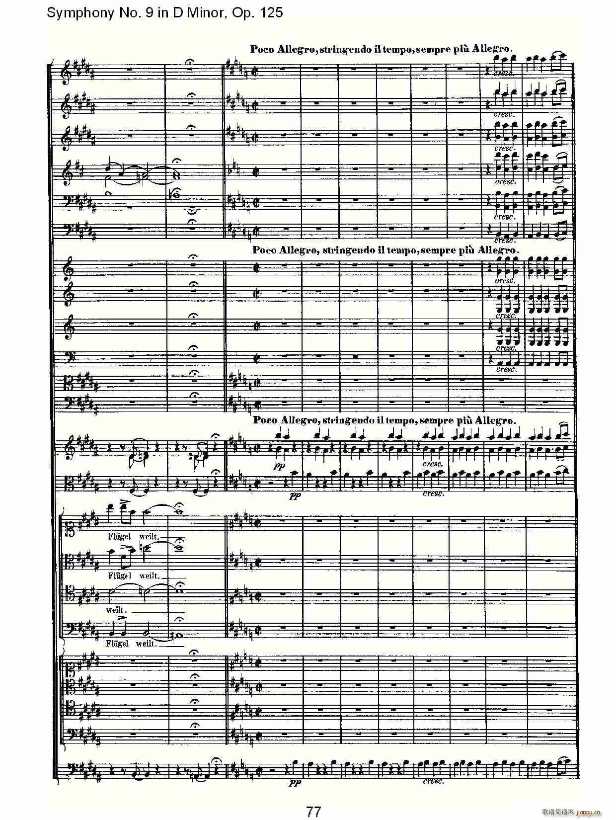 DС�{�ھŽ����(���ָ��V)17