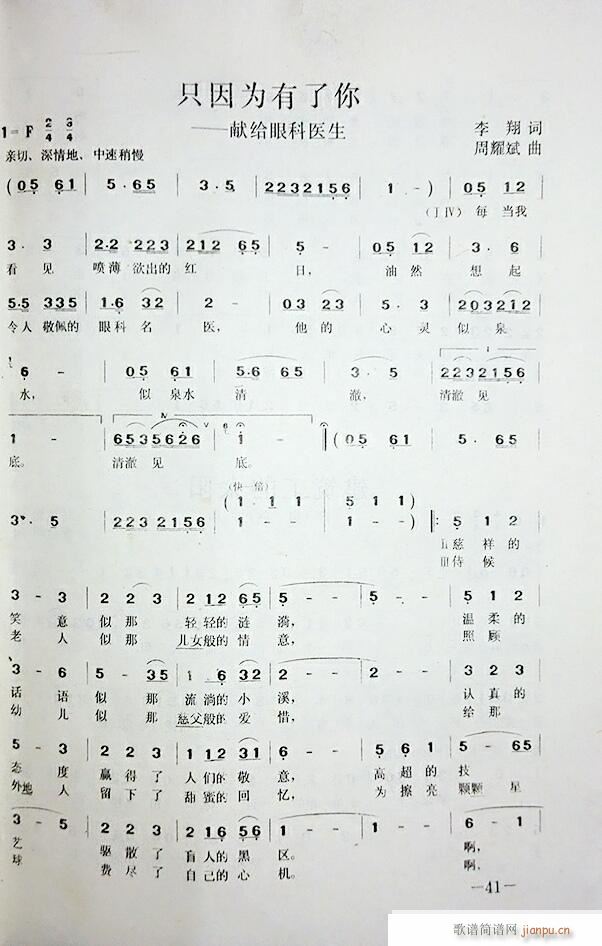 ֻ���������(���ָ��V)1