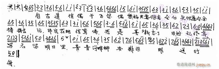 �Թŵ���ż��������(�������V)1