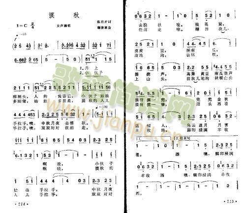 ����(���ָ��V)1