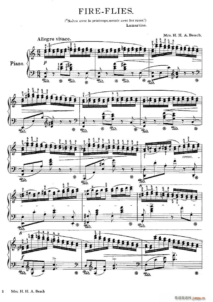 Beach Fire Flies(����V)1